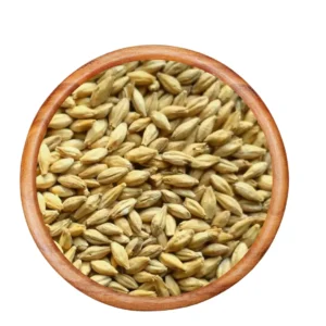 Barley