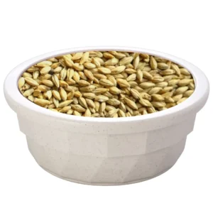 Barley-Feed-Product