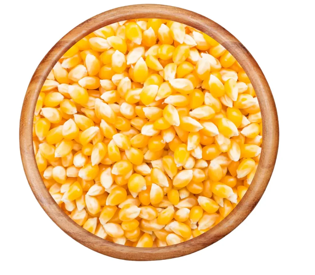 Maize