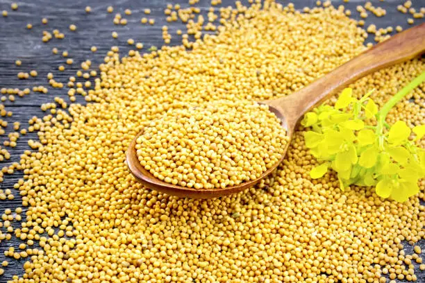 Mustard Seeds