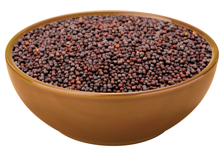 Brown Mustard Seeds