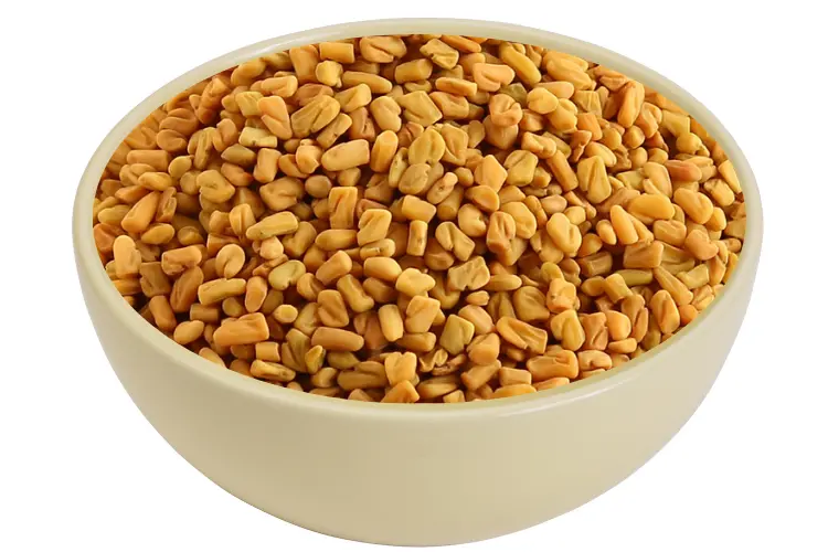 Fenugreek